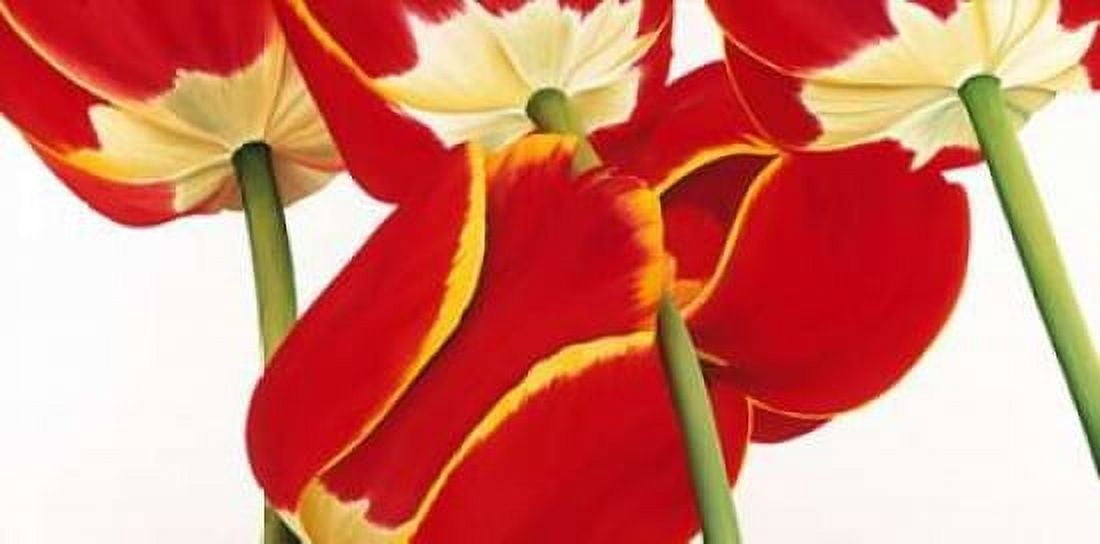 Dutch II Canvas Art - Yvonne Poelstra-Holzhaus (10 x 20)