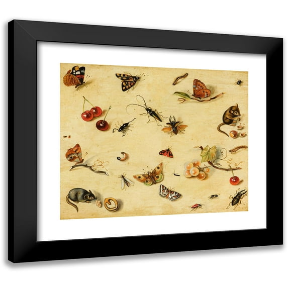 Dutch School 17x15 Black Modern Framed Museum Art Print Titled - Flora and Fauna (19th Century)