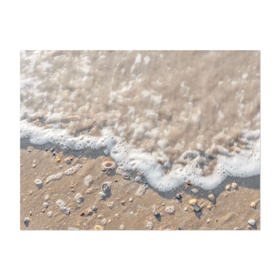 Dutch Seashells - Wijk aan Zee North Holland The Netherlands Photography Beach Coastal Ocean Waves Seaside Nature Scenic Unframed Wall Art Print 24 x 30 inches