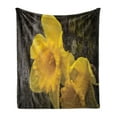 thumbnail image 1 of Dutch Soft Flannel Fleece Throw Blanket, Image of Trumpet Daffodil Flower Known as Dutch Master Photo Print, Cozy Plush for Indoor and Outdoor Use, 50" x 70", Dark Cocoa Earth Yellow, by Ambesonne, 1 of 6