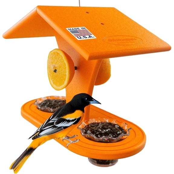 DutchCrafters Plastic Poly Hanging Orange Oriole Bird Feeder with Grape Jelly Cup and Fruit Slice Holders, Oriole Feeder for Outdoor Outside (Orange, Double Cup)