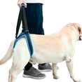 thumbnail image 1 of Duuclume Dog Lift Harness Sling Strap,Portable Dog Support Harness for Back Legs,Help Dogs with Weak Rear Legs L, 1 of 6