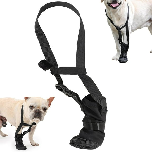 Duuclume Dog Recovery Boot, Windproof Dog Shoe with Adjustable Neck Strap Breathable Dog Paw Protector M