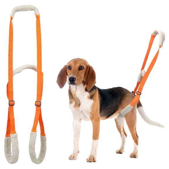 Duuclume Dog Support Harness for Back Legs, Dog Rear Leg Support Lifting Sling with Handle and Shoulder Strap Orange