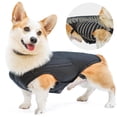 thumbnail image 1 of Duuclume IVDD Back Brace for Dogs, Pet Dachshund Back Supporting Vest, Canine Dog Back Bracer, L, 1 of 6