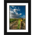 thumbnail image 1 of Duval, Richard 11x14 Black Ornate Wood Framed with Double Matting Museum Art Print Titled - Washington State-Red Mountain Moring sun on row of Cabernet Sauvignon in a Red Mountain vineyard, 1 of 4