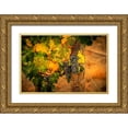 thumbnail image 1 of Duval, Richard 14x11 Gold Ornate Wood Framed with Double Matting Museum Art Print Titled - Washington State-Red Mountain Cabernet Sauvignon grapes and fall colors on the vine leaves, 1 of 4