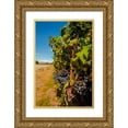 thumbnail image 1 of Duval, Richard 17x24 Gold Ornate Wood Framed with Double Matting Museum Art Print Titled - Washington State-Red Mountain Cabernet Sauvignon in Yakima Valley vineyard, 1 of 4