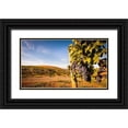 thumbnail image 1 of Duval, Richard 18x12 Black Ornate Wood Framed with Double Matting Museum Art Print Titled - Washington State-Yakima Valley Clusters of Cabernet Sauvignon at Yakima Valley vineyard, 1 of 4