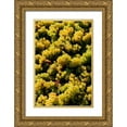 thumbnail image 1 of Duval, Richard 23x32 Gold Ornate Wood Framed with Double Matting Museum Art Print Titled - Washington State-Red Mountain Bin of Sauvignon Blanc grapes from Quintessence Vineyard at harvest, 1 of 4
