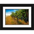 thumbnail image 1 of Duval, Richard 32x23 Black Ornate Wood Framed with Double Matting Museum Art Print Titled - Washington State-Red Mountain Cabernet Sauvignon in Yakima Valley vineyard, 1 of 4