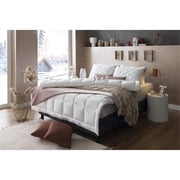 Duvetta Natural Cotton Comforter with Cotton Fabric Cover All Season Twin Size