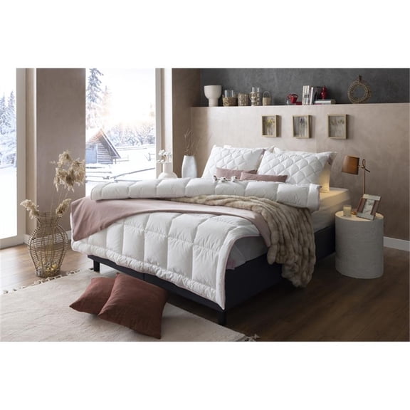 Duvetta Natural Cotton Comforter with Cotton Fabric Cover All Season Twin Size