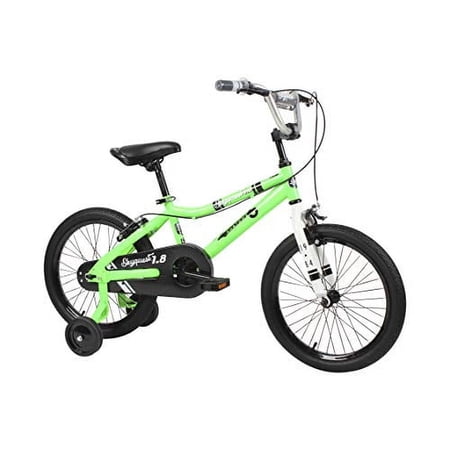 Duzy Customs Skyquest 18-Inch Kids Bike by Dynacraft, Green, Quick Assembly, Training Wheels, Ages 6–9