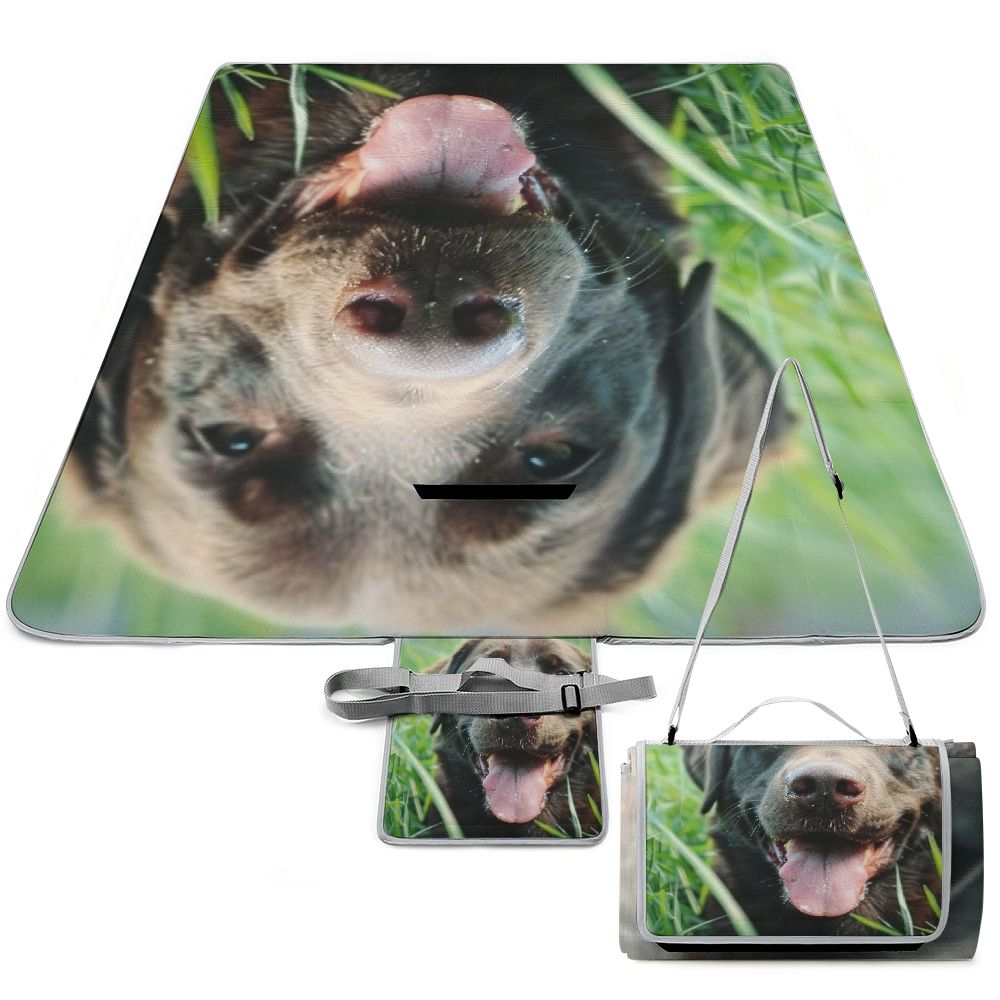 dvbnli-lawn-dog-picnic-mat-foldable-waterproof-sandproof-beach-blanket
