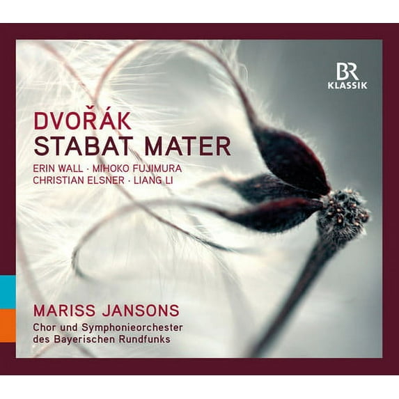 Dvorak / Chor Und Symphonieorchester Des Bayerisch - Dvorak: Stabat Mater - Music & Performance - CD