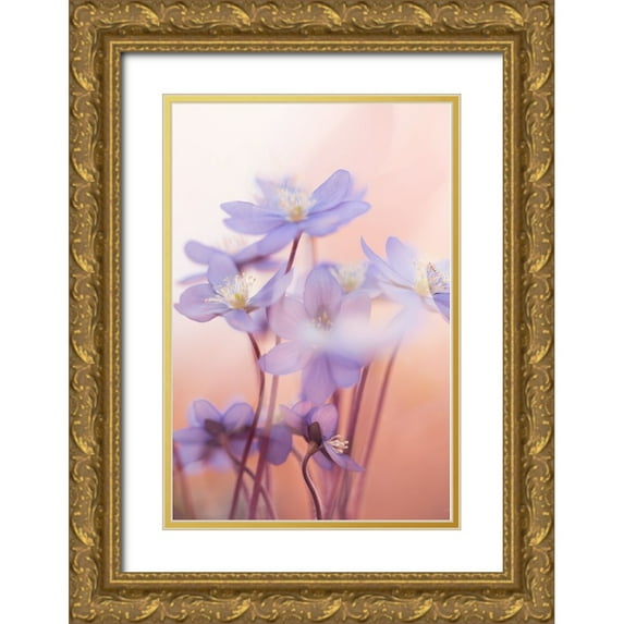 Dvorak, Petra 13x18 Gold Ornate Wood Framed with Double Matting Museum Art Print Titled - Spring Symphony