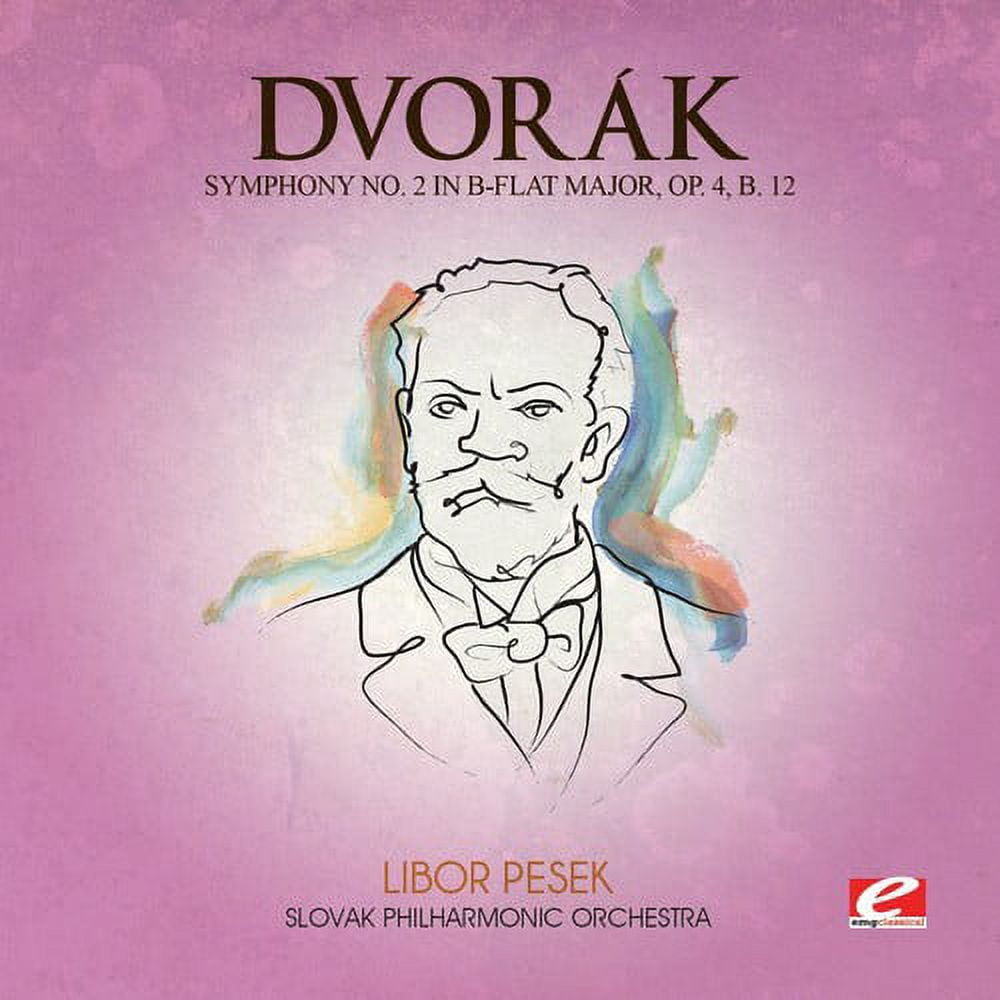 Dvorak - Symphony 2 B-Flat Maj 4 B 12 - Music & Performance - CD