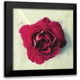 thumbnail image 1 of Dvorak, Vicki 20x20 Black Modern Framed Museum Art Print Titled - Paris Rose, 1 of 5