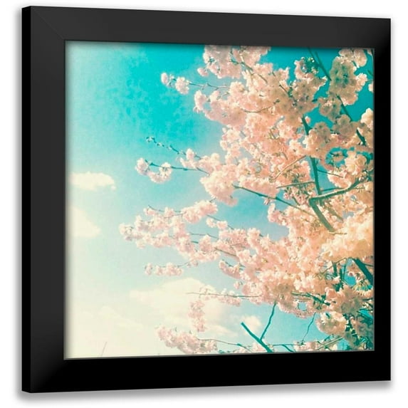 Dvorak, Vicki 20x20 Black Modern Framed Museum Art Print Titled - Polariod Pink 1