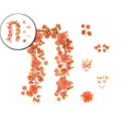 thumbnail image 1 of Dvruxg 5.9ft Artificial Fall Eucalyptus Leaves Garland Autumn Orange Hanging Garland with Roses, Fake Plant Rattan for Thanksgiving Mantle,Table Runner, Fireplace Party Decor, 1 of 6