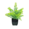 thumbnail image 1 of Dvruxg Small Artificial Plants Greenery Boxwood Fern Plants in Pots Mini Plastic Faux Potted Plant for Home Indoor Office Table Shelf Farmhouse Bathroom Aesthetic Decor, 1 of 5