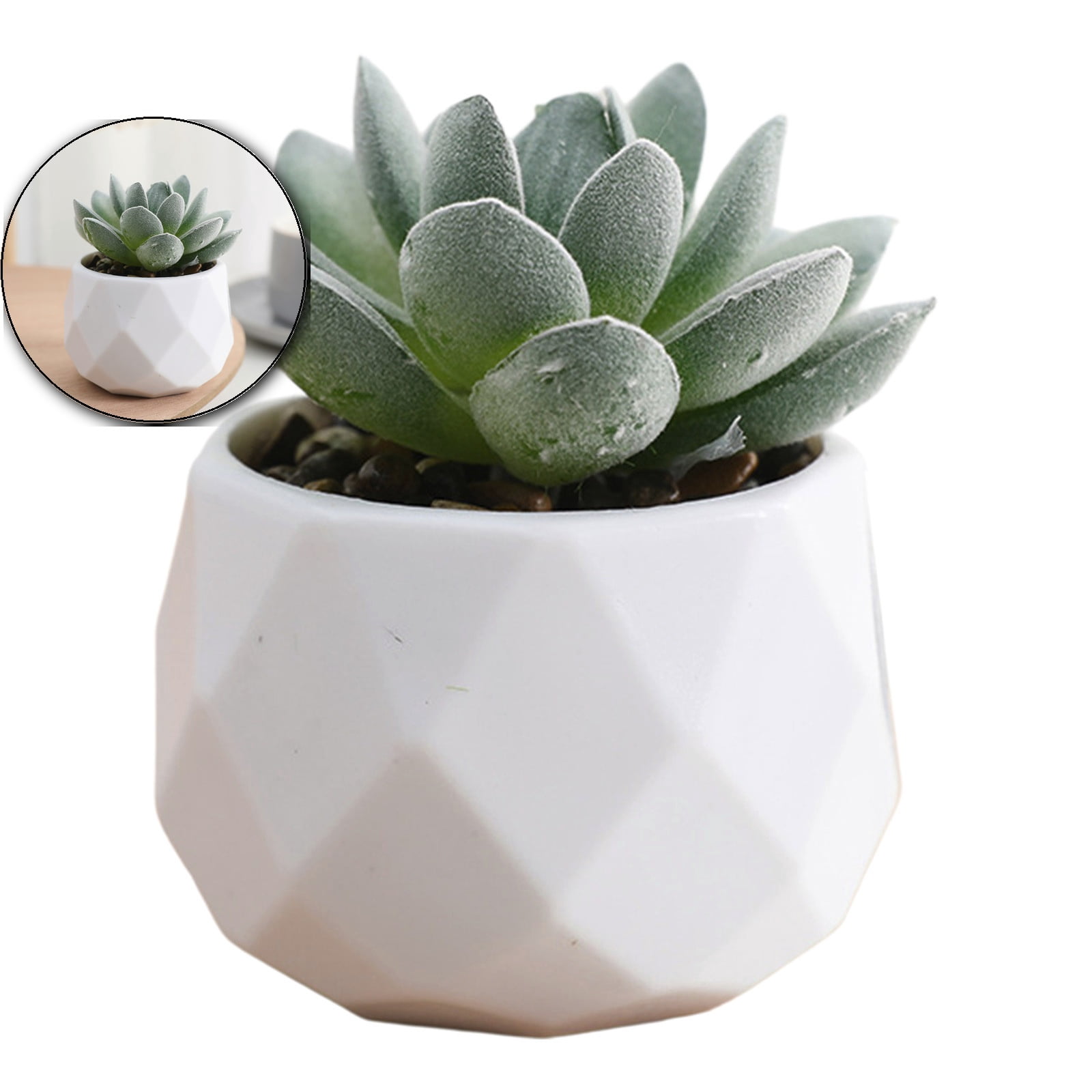 Dvruxg Succulent Plants Artificial with Pot Small Fake Potted Plants ...