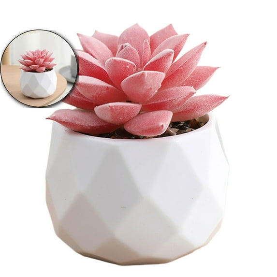 Dvruxg Succulent Plants Artificial with Pot Small Fake Potted Plants Artificial Decor Faux Plants for Living Room Bedroom Office Desk Bookshelf Bathroom Decor Artificial Plants