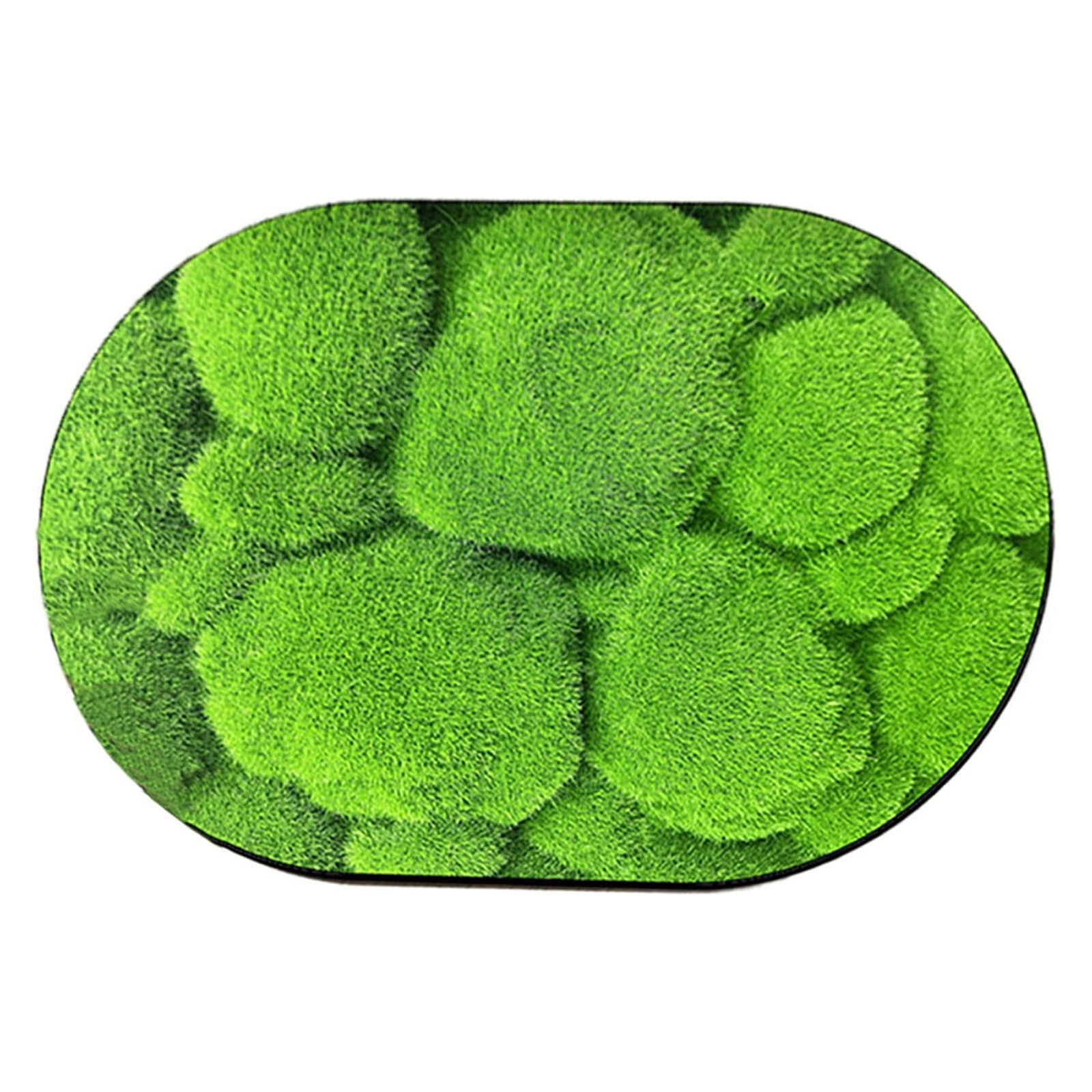 Dvruxg Super Absorbent Quick Dry Bath Rug with Rubber Backing, NonSlip