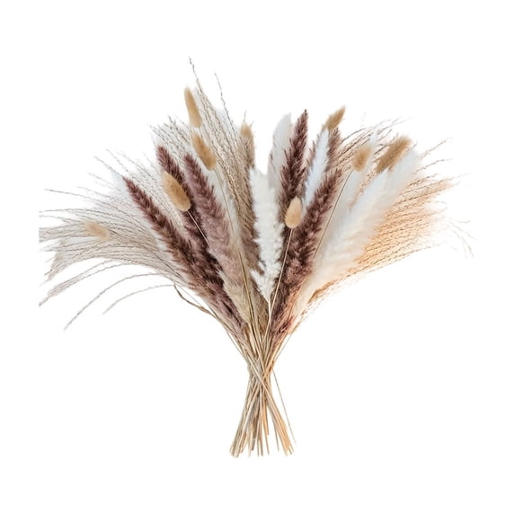 Dvumao Home Decor, Dried Pampas Grass Decor Pampas Grass Contains Bunny Tails Dried Flowers for Wedding Boho Flowers Home Table Decor Village Farm Parties Party