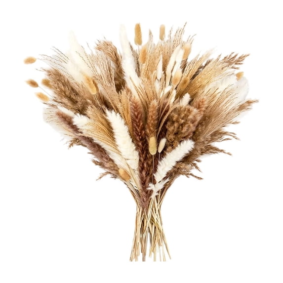 Dvumao Home Decor, Dried Pampas Grass Decor Pampas Grass Contains Bunny Tails Dried Flowers for Wedding Boho Flowers Home Table Decor Village Farm Parties Party