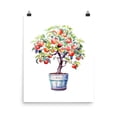 Dwarf Apple Bonsai Tree Poster, Bohemian, Fruit, Farmhouse Botanical ...
