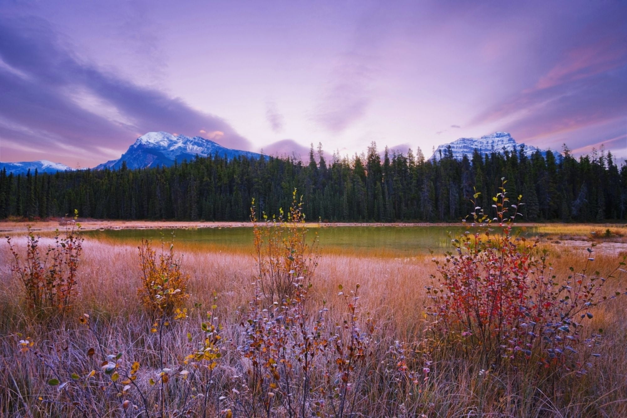 Dwarf Birch Pond And Mount Hardisty And Mount Kerkeslin At Dawn In Autumn Jasper National Park Alberta Canvas Art - Yves Marcoux Design Pics (34 x 22)