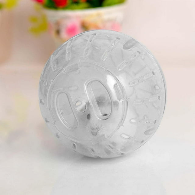 Photo inspiration: Dwarf Hamster Exercise Ball Small Hamster Ball Cute Photo Inspiration