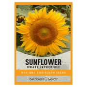 Dwarf Incredible Sunflower Seeds