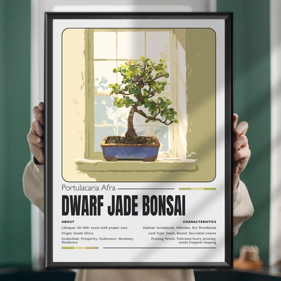 Dwarf Jade Bonsai Print: Minimalist Botanical Art Zen Decor Home Decor Office Wall Art
