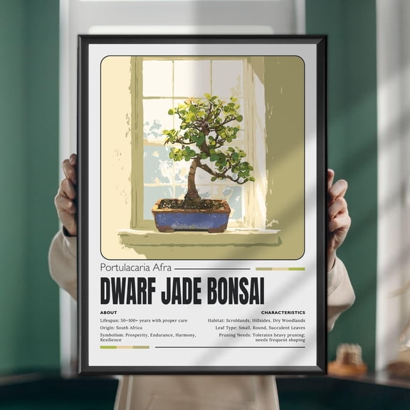 Dwarf Jade Bonsai Print Minimalist Botanical Art, Zen Decor, Poster Only