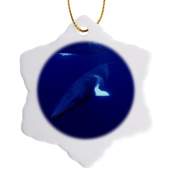 3drose, Dwarf Minke Whale, Balaenoptera Acutorostrata, Great Barrier Reef Queensland Australia, 3 inch Snowflake Porcelain Ornament