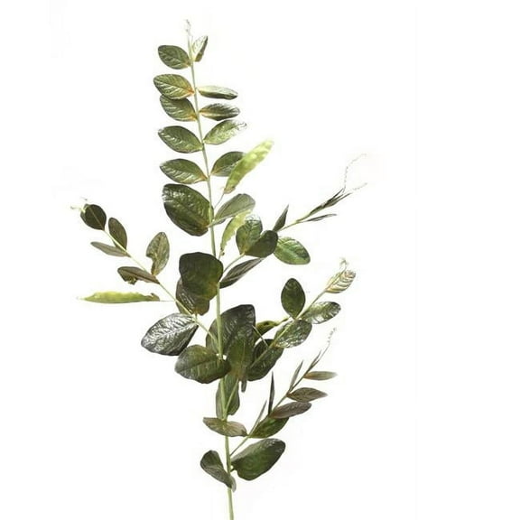 Dwarf Sweet Pea Vine