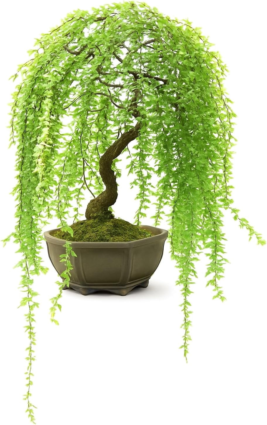indoor plant liquid fertilizer Indoor Plant Food - Versatile, Bioavailable Liquid Fertilizer