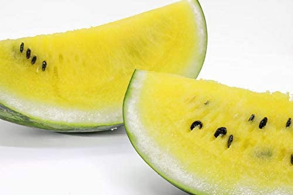 Dwarf Yellow Watermelon Seeds 25 Seeds Grow Petite Yellow Watermelons, Delicious Made in