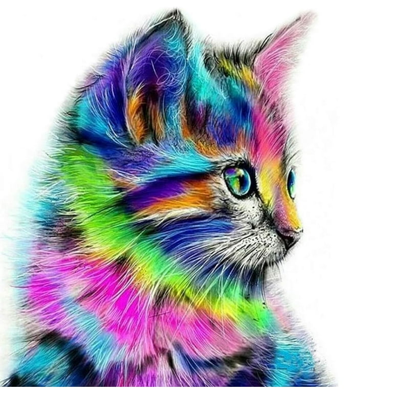 Paint By Numbers Adults Colorful Cat DIY Painting Kit 40x50CM Canvas