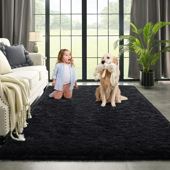 Dwelke Ultra Fluffy Rug Indoor Plush Soft Carpet for Living Room Anti-Skid Durable Area Rug 3x5ft Black