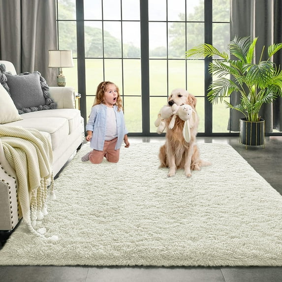Dwelke Ultra Fluffy Rug Indoor Plush Soft Carpet for Living Room Anti-Skid Durable Area Rug 3x5ft Cream-white