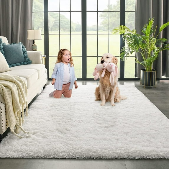 Dwelke Ultra Fluffy Rug Indoor Plush Soft Carpet for Living Room Anti-Skid Durable Area Rug 3x5ft White