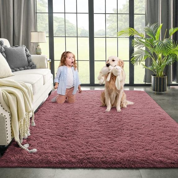 Dwelke Ultra Fluffy Rug Indoor Plush Soft Carpet for Living Room Anti-Skid Durable Area Rug 4x5.3ft Blush