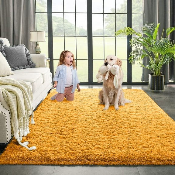 Dwelke Ultra Fluffy Rug Indoor Plush Soft Carpet for Living Room Anti-Skid Durable Area Rug 6x9ft Orange