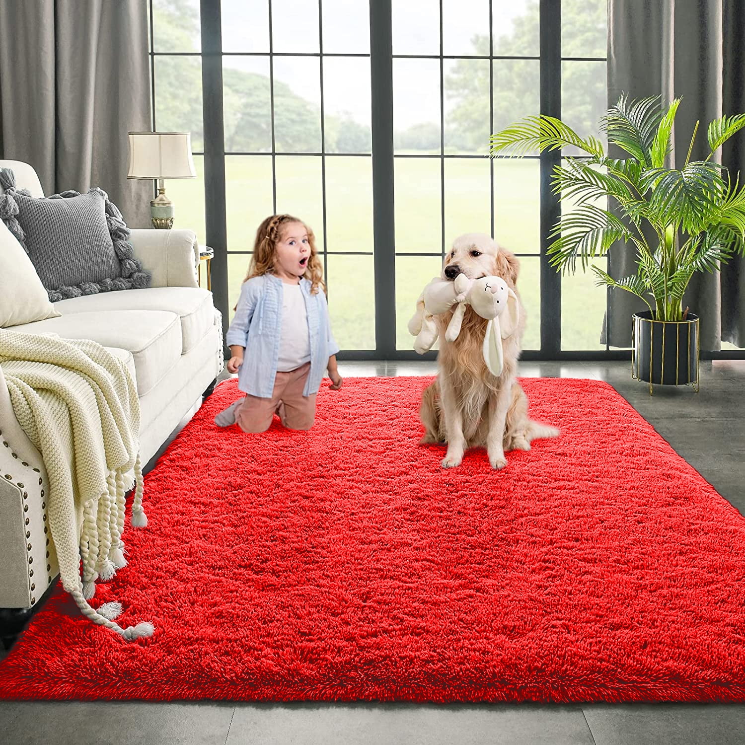 Dwelke Ultra Fluffy Rug Indoor Plush Soft Carpet for Living Room Anti