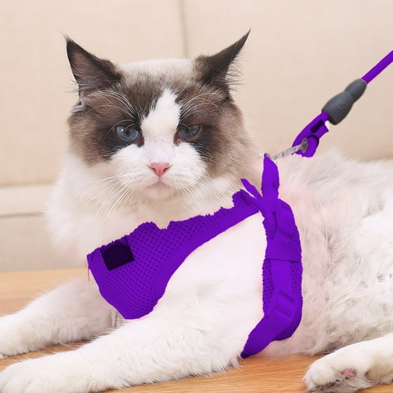 DwellJoy 1PC Heavy Duty Nylon Dog Leash with Reflective Stitching - Adjustable Breathable Mesh Design for Small/Medium/Large Dogs - All Weather Pet Walking Lead for Outdoor Training, Vet & Shopping