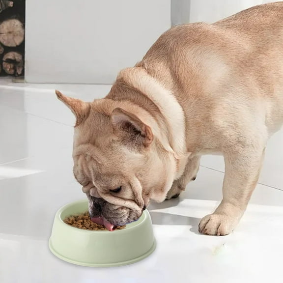 DwellJoy Chew-Proof Pet Food Bowl for Dogs & Cats - Durable Wide Base Dish for Wet/Dry Food & Water - BPA-Free Easy Clean Plastic Feeder for Indoor Outdoor Pets